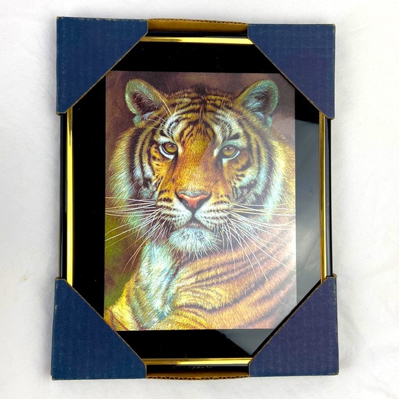 Vintage Magic Effects Tiger holographic framed picture - Picture 1 of 6